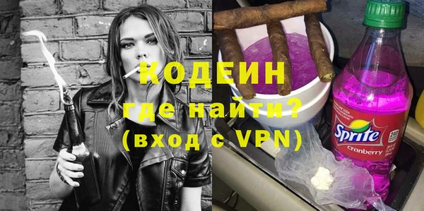 молекула духа Арсеньев