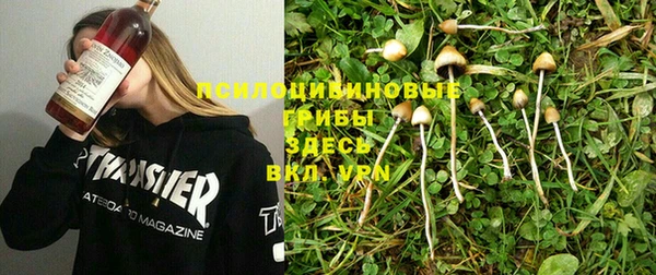мет Гусиноозёрск