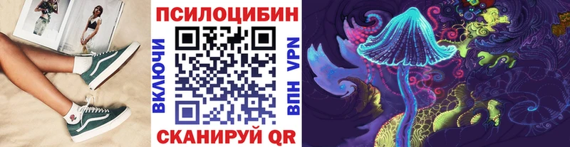Псилоцибиновые грибы Psilocybe  Черногорск 